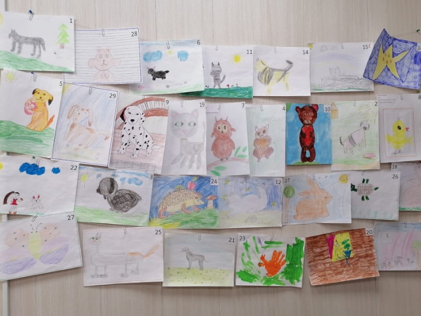 Конкурс детских рисунков организовали ветврачи в Могочинском районе Забайкалья 